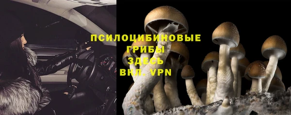 тгк Балахна
